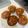 ほっぴだよ's cooksnap of when they made 簡単！サラダ油でチョコマフィン.
