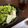 ※ぴーまん's cooksnap of when they made サニーレタスと豆腐のナムルサラダ.