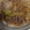 飛河えりか's cooksnap of when they made 炊飯器で楽チン！春雨と白菜のとろとろ煮.