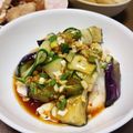 5本指くつした's cooksnap of when they made 万能!!ねぎだれ.