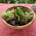 horseland's cooksnap of when they made サニーレタスの彩りサラダ.