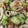 クックILDLF4☆'s cooksnap of when they made ちくわときゅうりのさっぱり和え.