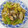 chisat00's cooksnap of when they made あさりとキャベツのXO醤蒸し.