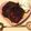 ★★ミッキー★★'s cooksnap of when they made ブルーベリーマフィン.