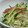 うにょ～ん's cooksnap of when they made きゅうりとみょうがの簡単酢の物.