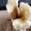 ４番目's cooksnap of when they made 楽しいよ！バナナの食べ方.