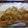 Faiza's cooksnap of when they made サーモンのホースラディッシュ チーズ焼き.