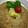 naoming's cooksnap of when they made 白菜の柚子マヨ和え.