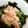 ❀あおい❀'s cooksnap of when they made 火を使わない、簡単!!!ツナ丼.