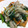 かえる900's cooksnap of when they made 厚揚げの塩野菜あんかけ.