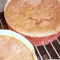 れっぴーー's cooksnap of when they made 濃厚だけど甘さ控えめ☆ガトーショコラ.
