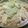 みぃ～～たん's cooksnap of when they made 鰹節余ってる？？第②弾☆白菜おかかサラダ.