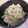 モグタソ's cooksnap of when they made ごぼうと舞茸の炊き込みごはん☆☆.