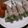 shinoko666's cooksnap of when they made グリーンアスパラガスの豚肉巻き.