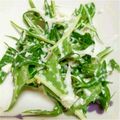 おぉかっちょ's cooksnap of when they made ✸大根と水菜のゴママヨサラダ✸.
