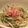 HUCHICORO's cooksnap of when they made しゃきしゃき♪蓮根と水菜のサラダ.