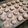 もり公's cooksnap of when they made ☆ホワイトスノーココア☆さっくりクッキー.