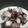 あさしし's cooksnap of when they made 簡単★激ウマ!!!たこニンニク.