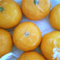 ロゼロゼ's cooksnap of when they made 冷凍みかん　給食でよく食べたね★.