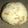 アスカチャチャ's cooksnap of when they made レンジdeそぼろ丼風？おにぎり♪♪.