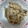 マヨメロディー's cooksnap of when they made 蓮根と舞茸の粒マスタード和え.