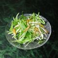mielle's cooksnap of when they made 揚げごぼうと水菜のアジアンサラダ.
