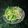 mielle's cooksnap of when they made 揚げごぼうと水菜のアジアンサラダ.