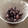 ポメちょん's cooksnap of when they made 私の簡単黒豆☆（水筒使用）.