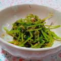 ＊とりこ＊'s cooksnap of when they made ★小さなおかず★豆苗の胡麻和え.