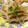 せつみか's cooksnap of when they made もやしのタイ風和え物.
