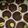 ひもじり's cooksnap of when they made チョコバナナマフィン.