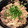 ぴよりあ's cooksnap of when they made さば缶と卵のそぼろ丼.