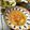 月✳Iris's cooksnap of when they made 5分で完成！中華風トマトと卵のスープ.