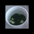 しろくまりん's cooksnap of when they made ★離乳食★【初期】小松菜のミルクのばし.