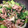 よこもす's cooksnap of when they made 簡単！青梗菜とにらのふわふわ卵炒め.