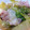 いせご's cooksnap of when they made 白菜と白ネギのぽかぽか炒め.
