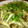 ★きんかん★'s cooksnap of when they made 豆苗ときのこのバター炒め.
