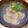 るなぷり's cooksnap of when they made 桃の節句、白だしで簡単はまぐりのお吸い物.