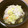 クックミホ's cooksnap of when they made 白菜と豚しゃぶの蒸鍋.