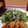 ぽこり。's cooksnap of when they made 大根・水菜の和風マヨサラダ.