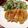 ぽこり。's cooksnap of when they made 簡単！鶏モモ肉の照り焼き.