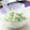 もぇちん's cooksnap of when they made 大根と水菜のサラダ.