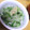 鬼嫁ちーちゃん's cooksnap of when they made 塩昆布で！きゅうりと玉ねぎのすし酢和え☆.