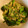 くくるぷぷ's cooksnap of when they made 菜の花★からし酢みそ和え.