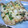 ぽんぷー's cooksnap of when they made ちくわde和風ピカタ.