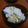 Anpanpa-n's cooksnap of when they made 秋になったら栗ご飯.
