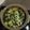 とんぼのはね's cooksnap of when they made 失敗しない⁉ミートソースグラタン.