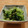 かなりんココりん's cooksnap of when they made 小松菜と枝豆のおひたし♪簡単.