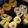 yume.ba-ba's cooksnap of when they made ごちそういなり.