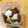アヤマキ's cooksnap of when they made 簡単サクサク★型抜きクッキー★卵不使用.